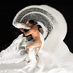 surfen4tmb